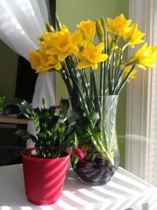 This is how I keep spring in our home throughout winter.