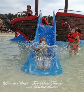 Love this photo of Apollo entering the water and making a big splash!